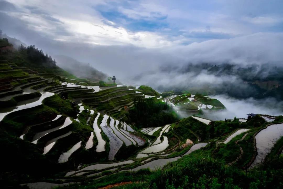 微信图片_20210811095700.jpg