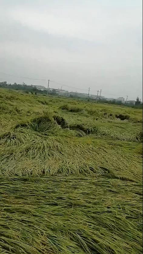 微信图片_20210824142954.jpg