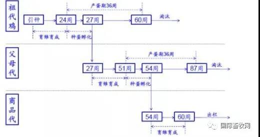 10.20-7.jpg