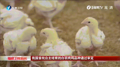 11.30.gif