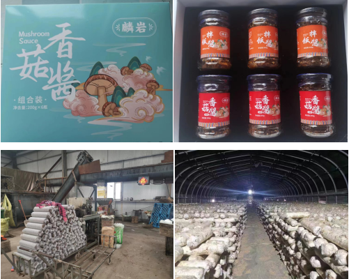 微信图片_20230320094549.png